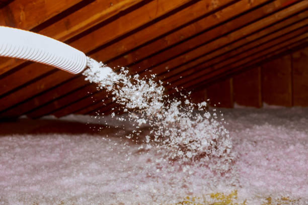 Best Insulation Maintenance and Repair in Philadelphia, MS