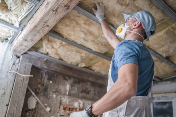 Best Insulation for Specific Applications in Philadelphia, MS