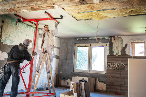 Best Insulation Installation Services in Philadelphia, MS