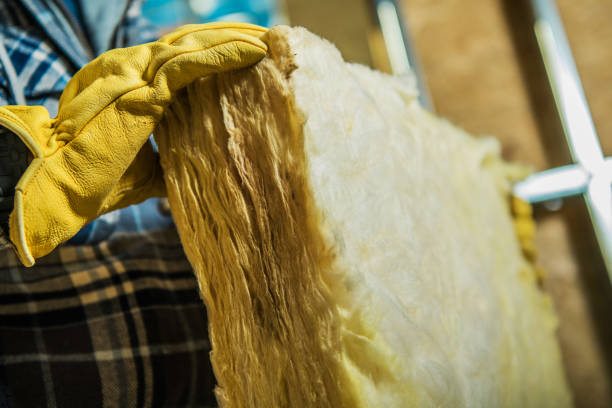 Best Commercial Insulation in Philadelphia, MS