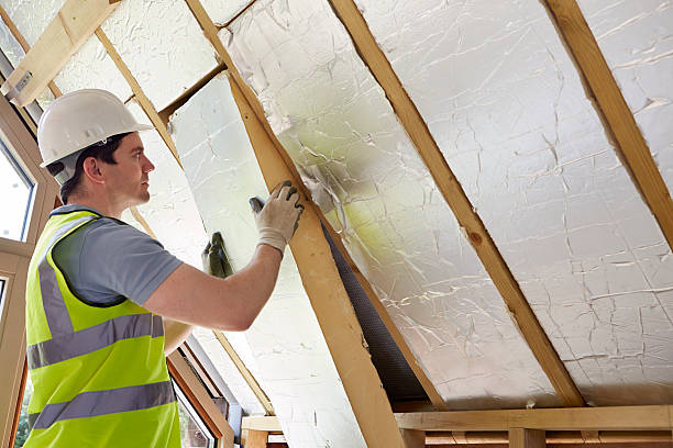 Best Insulation Installation Services in Philadelphia, MS
